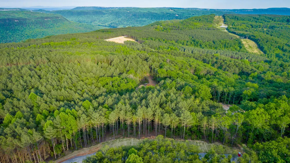 Cannon Way Guild, TN 37340