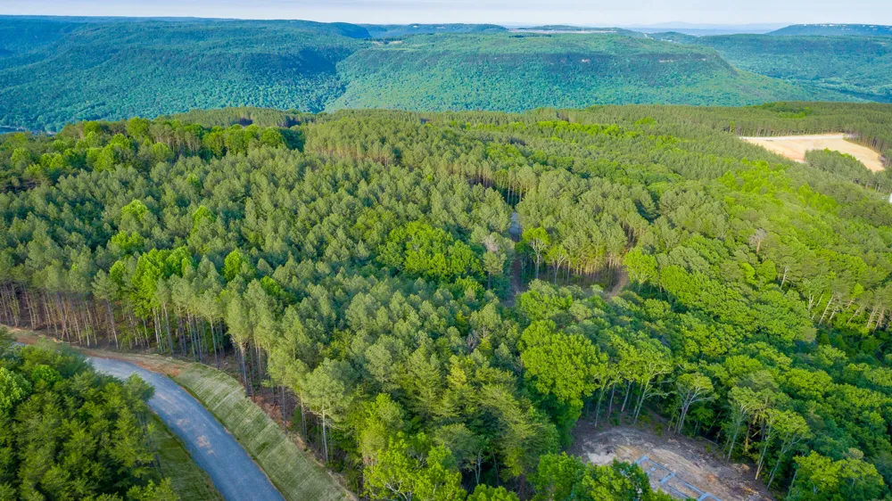 Cannon Way Guild, TN 37340