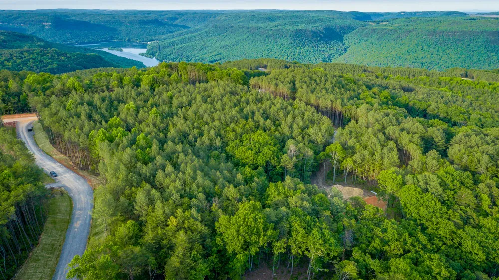 Cannon Way Guild, TN 37340