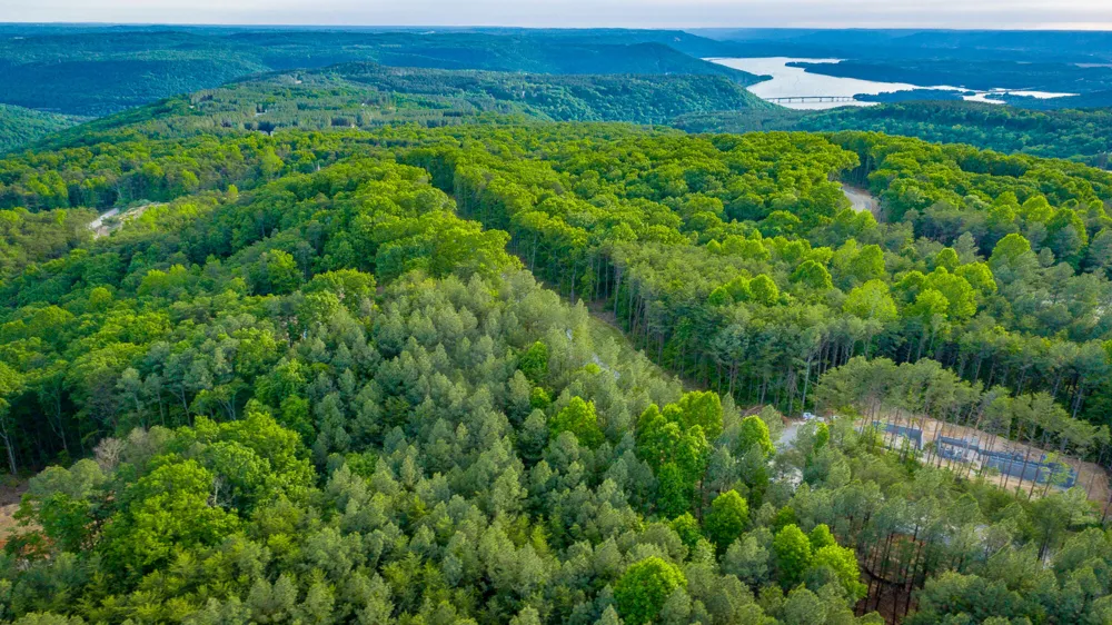 Cannon Way Guild, TN 37340