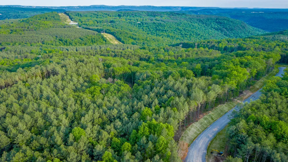 Cannon Way Guild, TN 37340