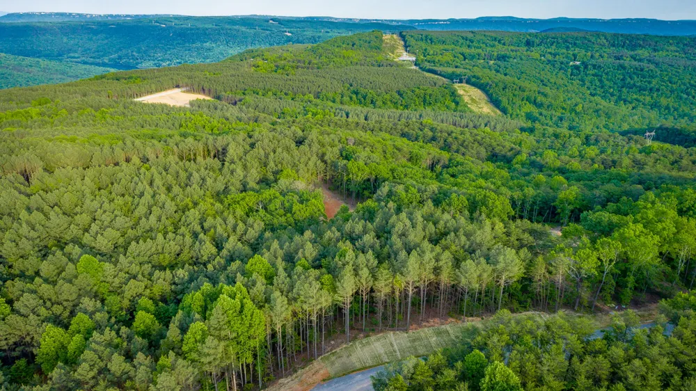 Cannon Way Guild, TN 37340