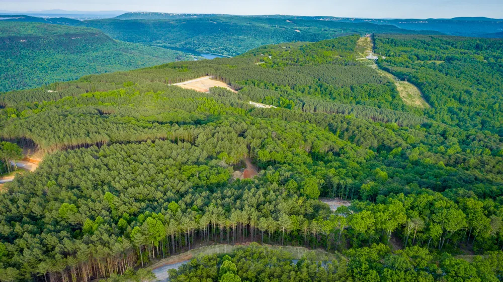 Cannon Way Guild, TN 37340