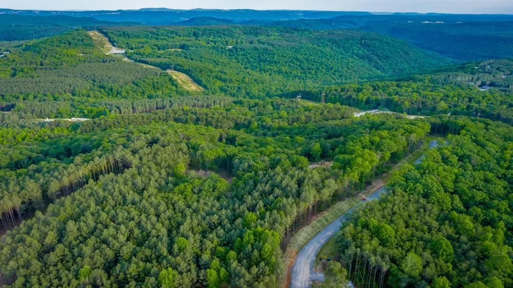 Cannon Way Guild, TN 37340