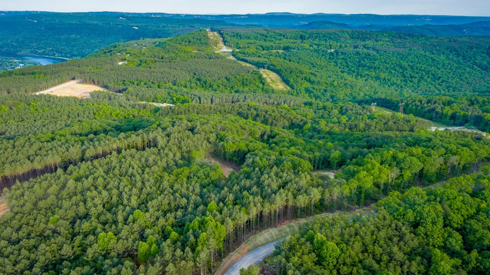 Cannon Way Guild, TN 37340