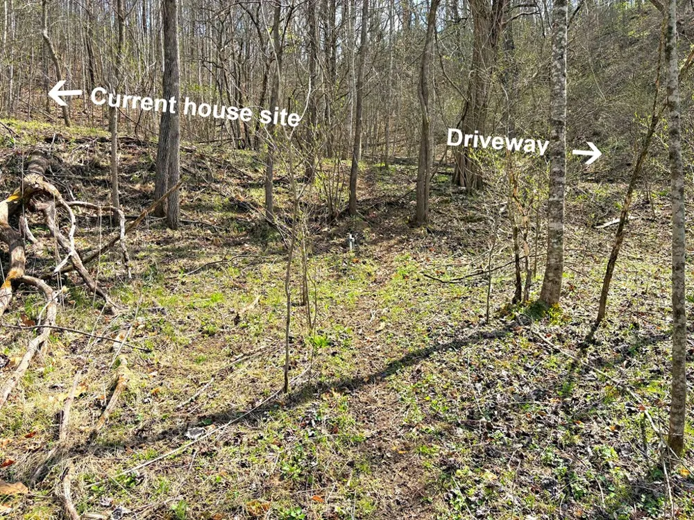 Moses Creek Rd. Cullowhee, NC 28723