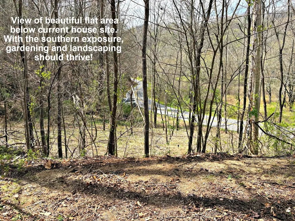Moses Creek Rd. Cullowhee, NC 28723