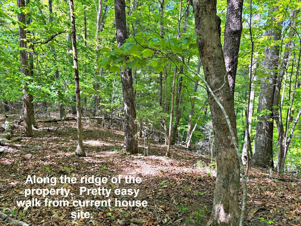 Moses Creek Rd. Cullowhee, NC 28723