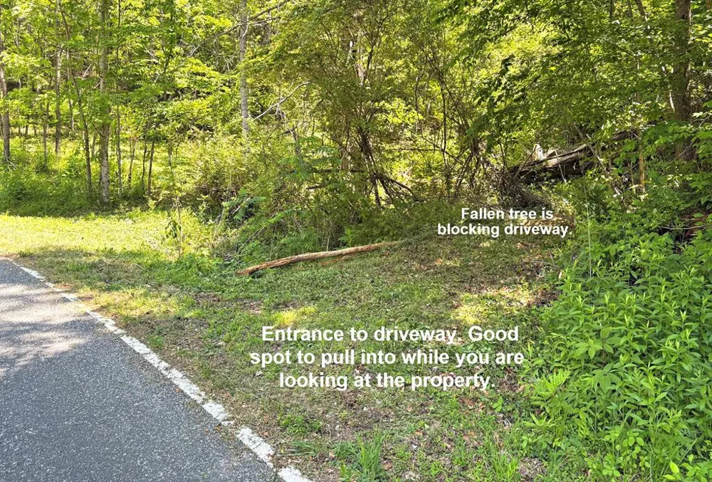 Moses Creek Rd. Cullowhee, NC 28723