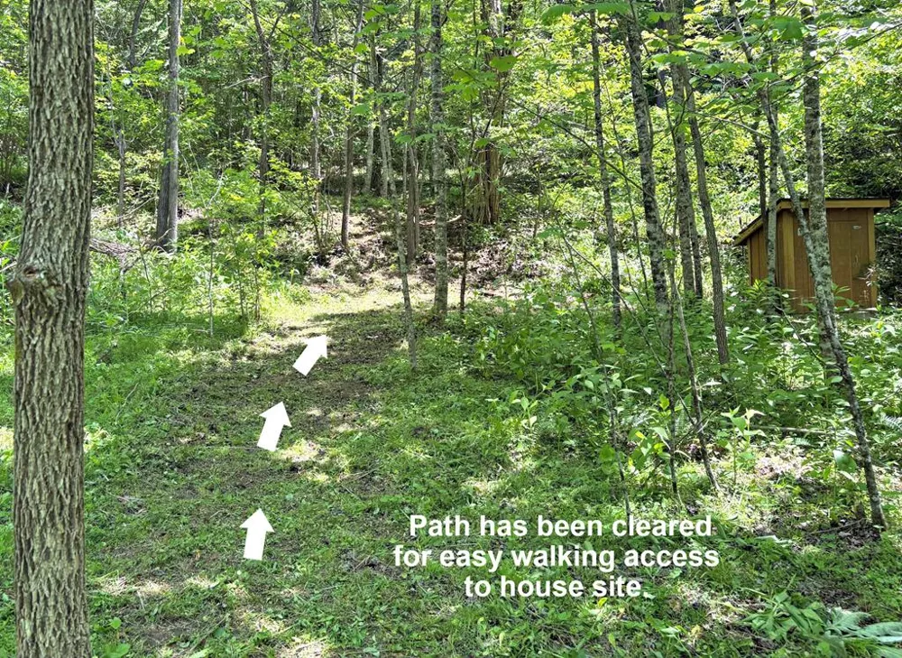 Moses Creek Rd. Cullowhee, NC 28723