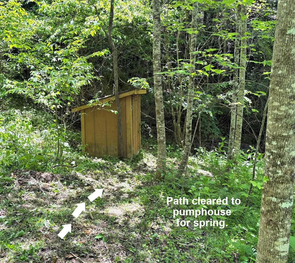 Moses Creek Rd. Cullowhee, NC 28723