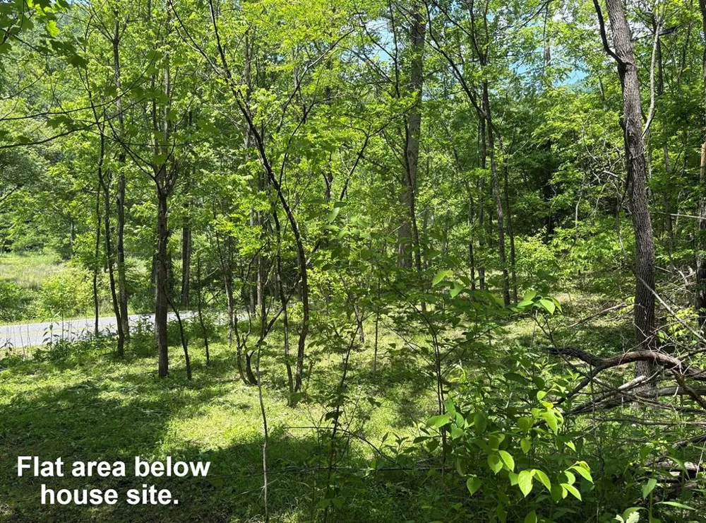 Moses Creek Rd. Cullowhee, NC 28723