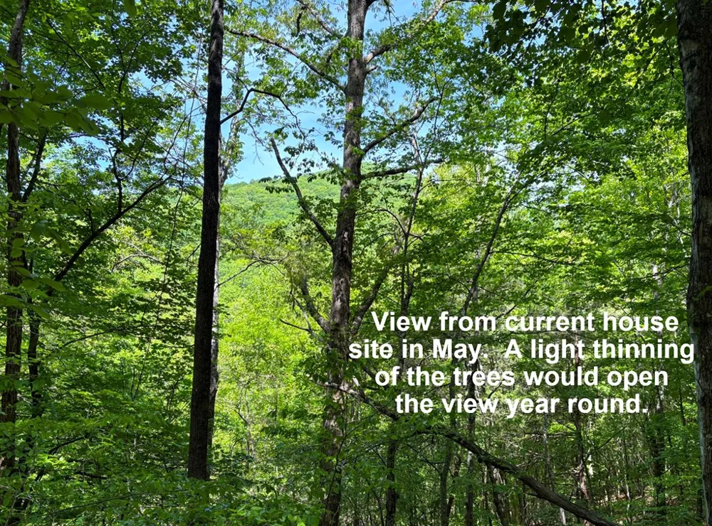 Moses Creek Rd. Cullowhee, NC 28723