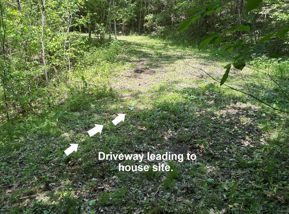 Moses Creek Rd. Cullowhee, NC 28723