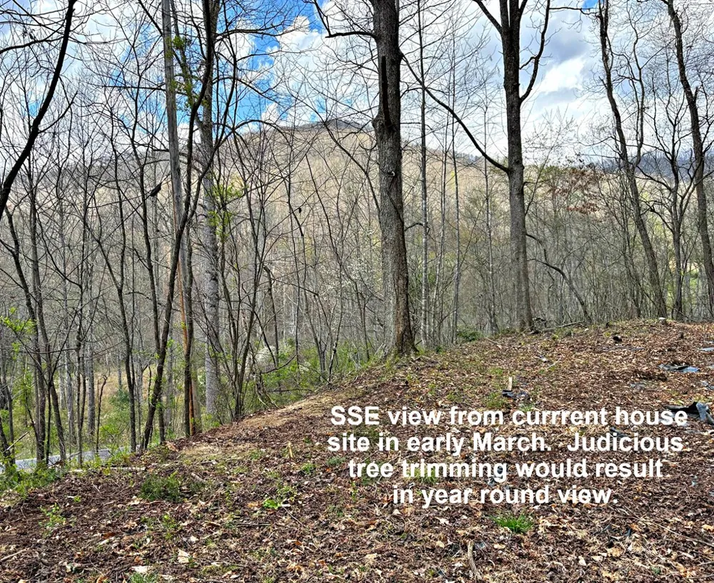 Moses Creek Rd. Cullowhee, NC 28723