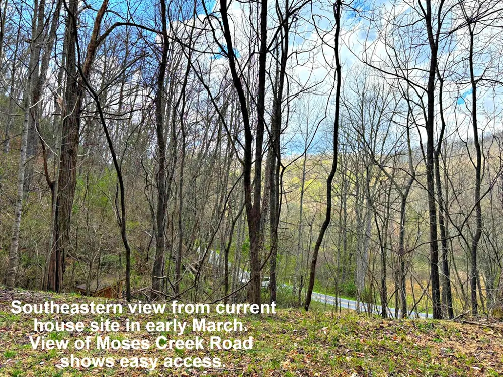 Moses Creek Rd. Cullowhee, NC 28723