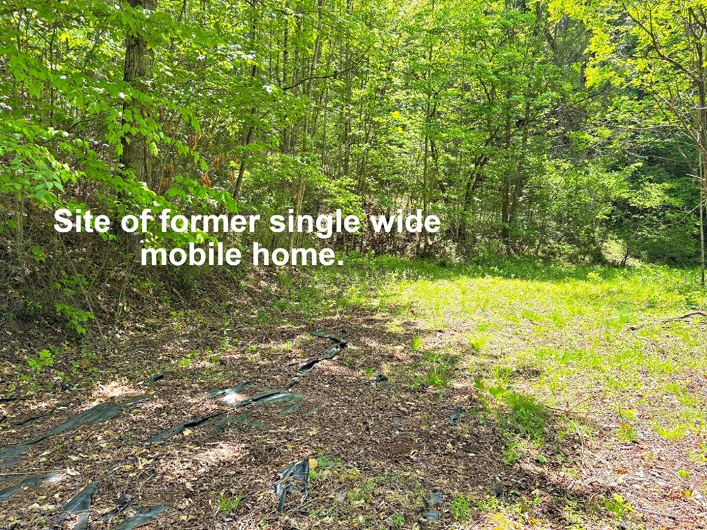 Moses Creek Rd. Cullowhee, NC 28723