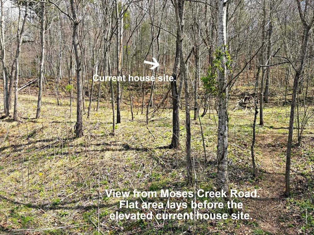 Moses Creek Rd. Cullowhee, NC 28723