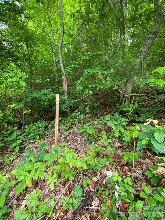 Shagbark Dr Sylva, NC 28779