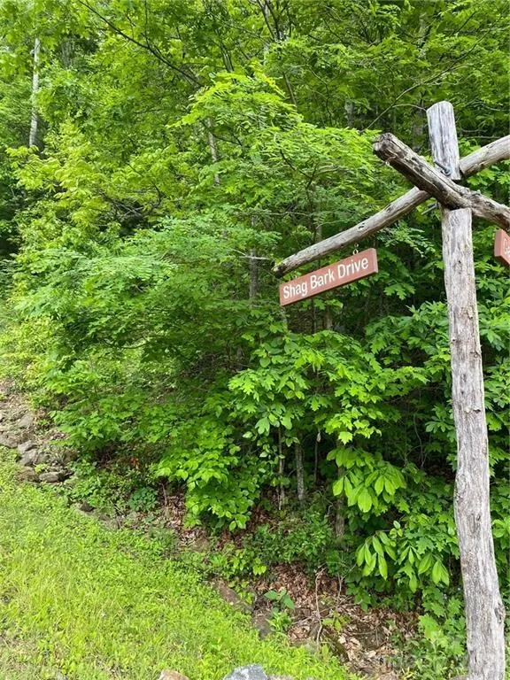 Shagbark Dr Sylva, NC 28779