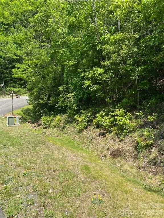 Garnet Rd Sylva, NC 28779