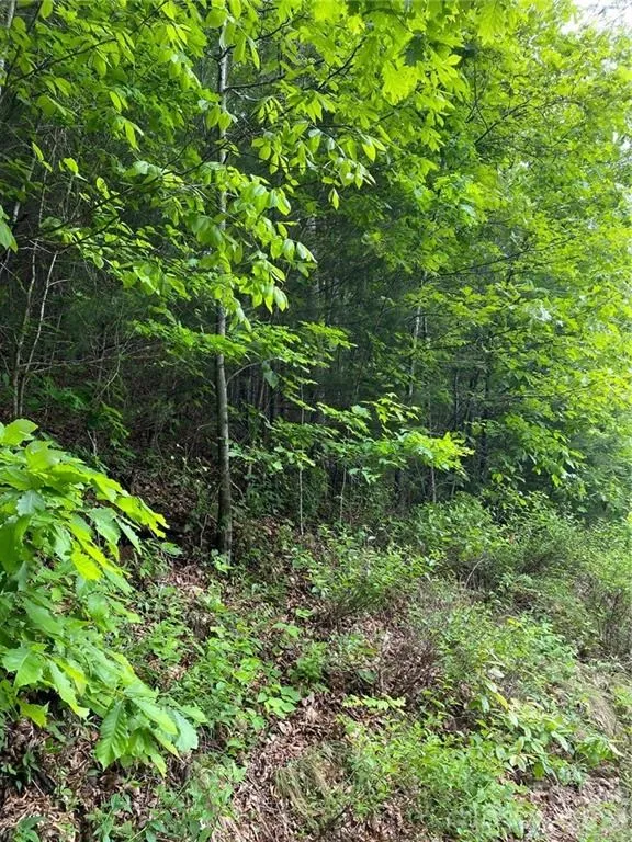 Garnet Rd Sylva, NC 28779