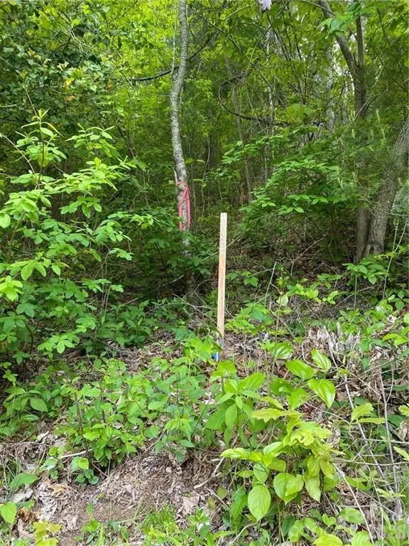 Garnet Rd Sylva, NC 28779