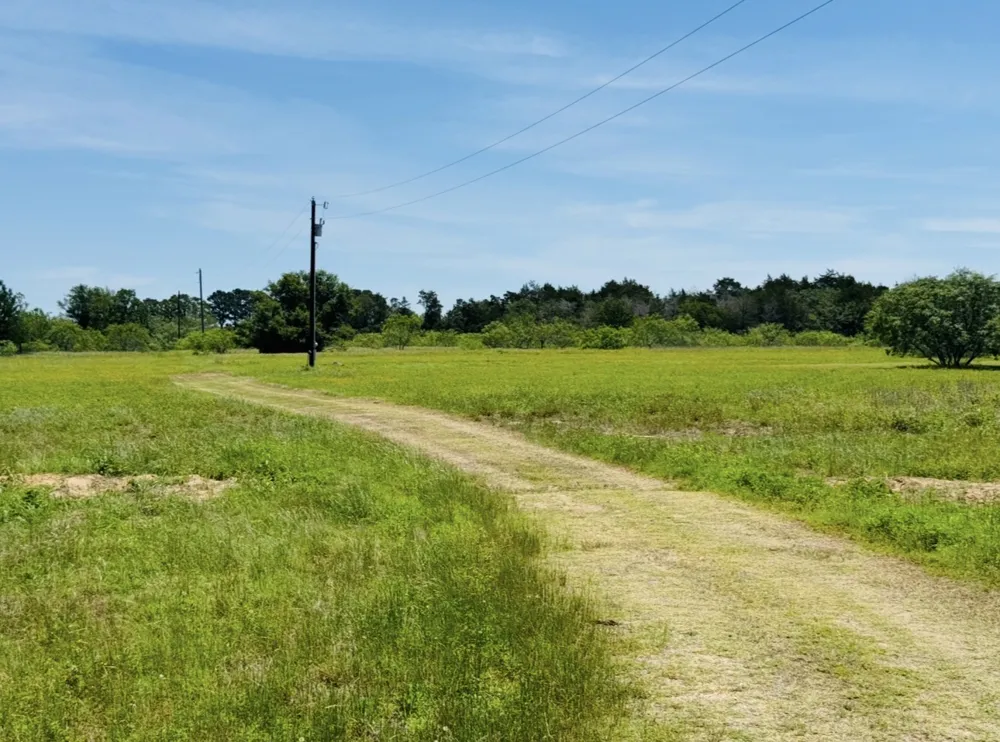 1300 Private Road 7037 Lexington, TX 78947