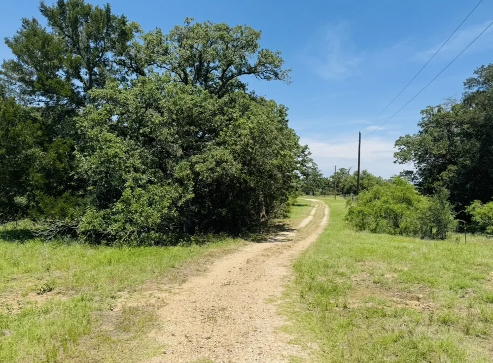 1300 Private Road 7037 Lexington, TX 78947
