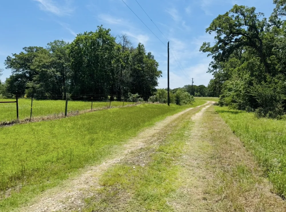 1300 Private Road 7037 Lexington, TX 78947