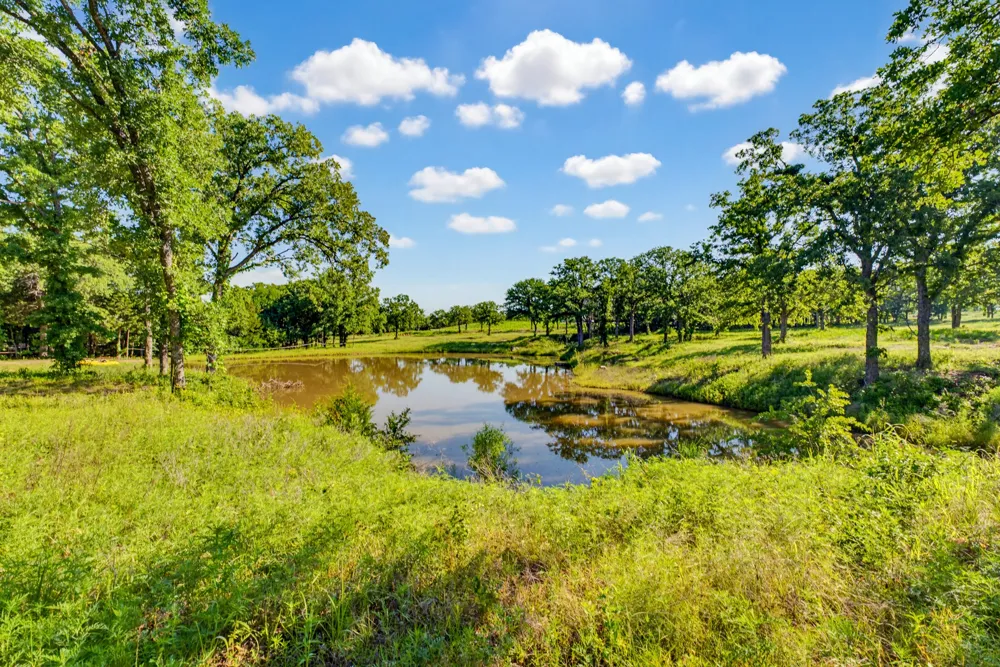 442 CR 1270 Alvord, TX 76225