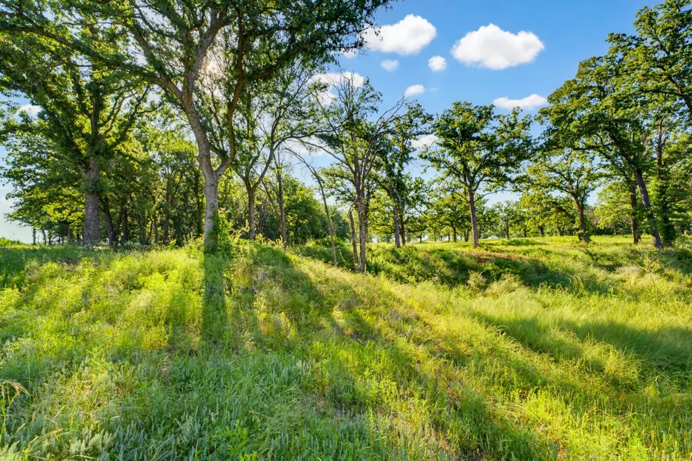 442 CR 1270 Alvord, TX 76225