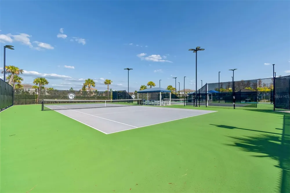 32732 TREE OF LIFE AVENUE Wesley Chapel, FL 33543