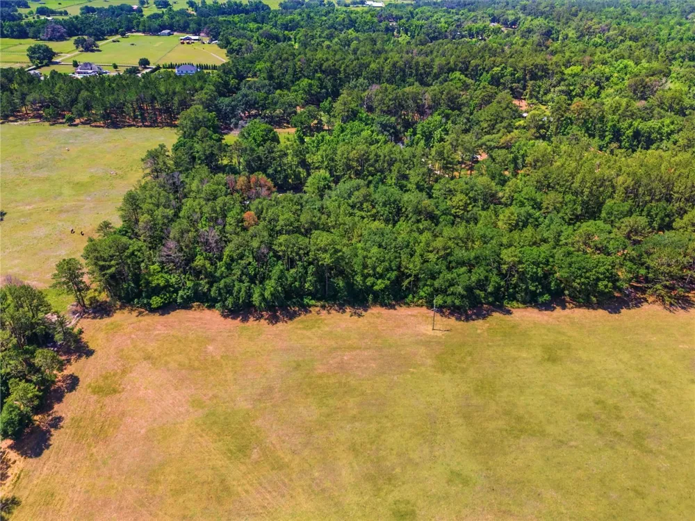 1074 CULBREATH ROAD Brooksville, FL 34602