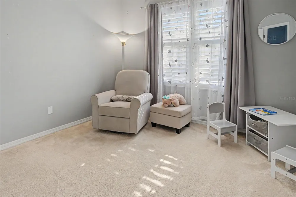 3709 MOLLIE LANE Sun City Center, FL 33573