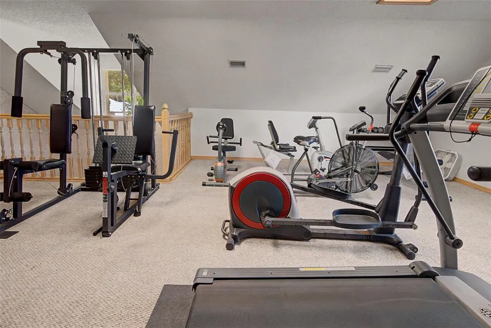 3709 MOLLIE LANE Sun City Center, FL 33573