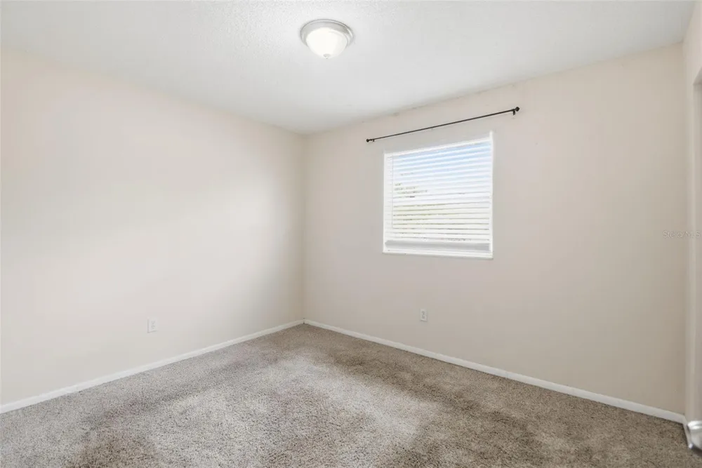 8412 RENALD BOULEVARD Tampa, FL 33637