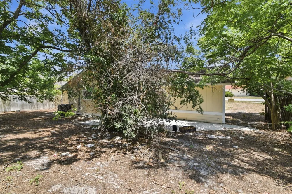8412 RENALD BOULEVARD Tampa, FL 33637