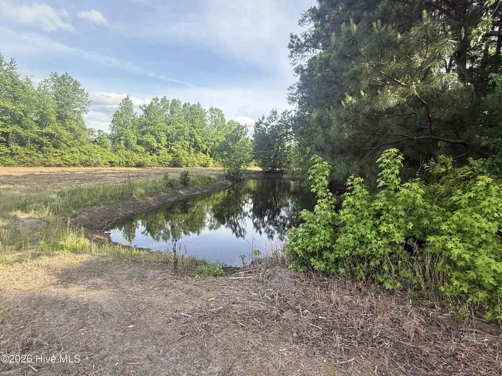 12155 Carolina 41 Bladenboro, NC 28320