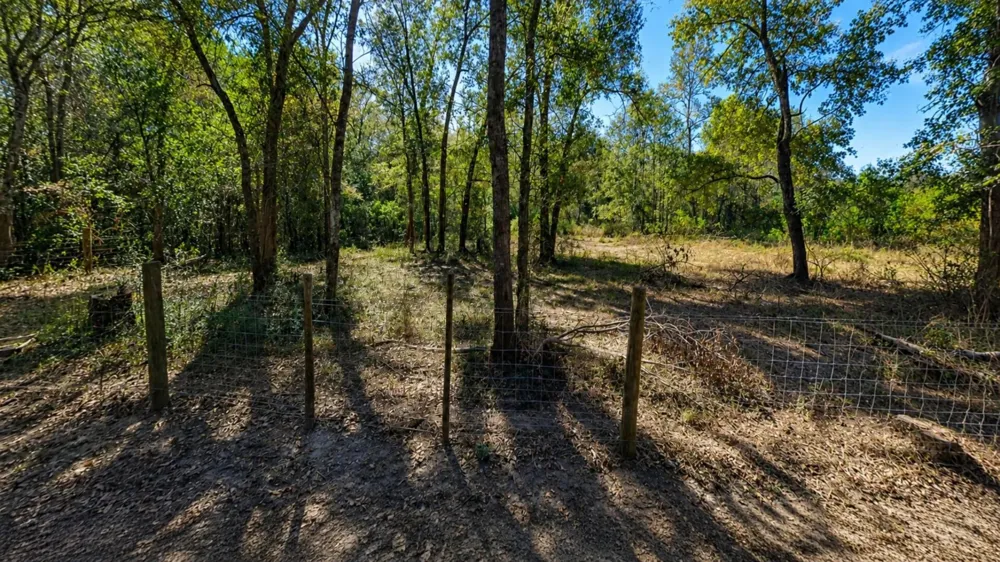 Dryden Street Trinity, TX 75862