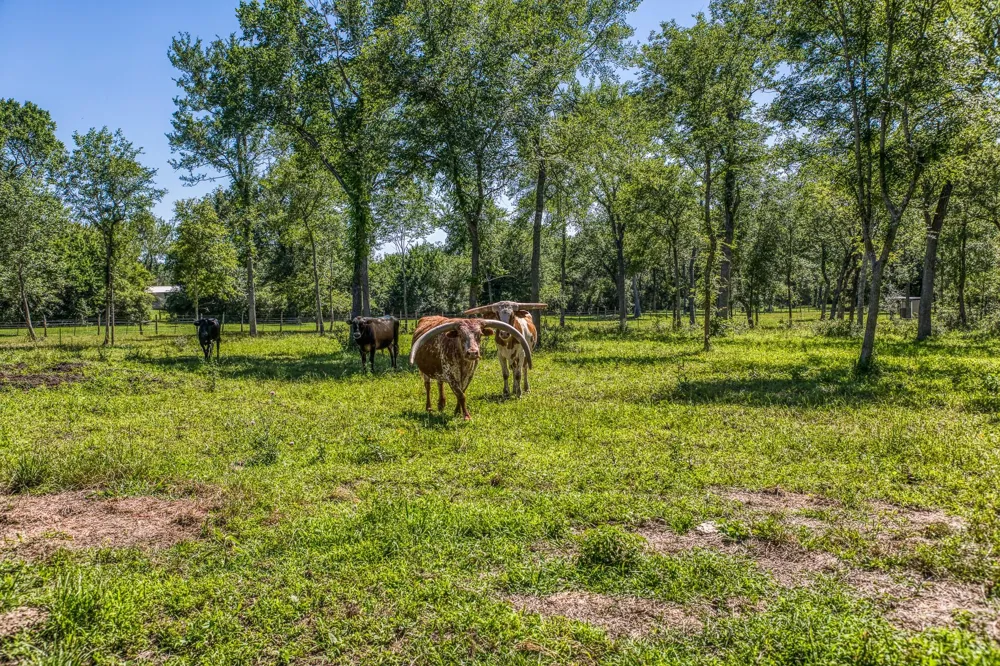 16597 Fm 912 Washington, TX 77880