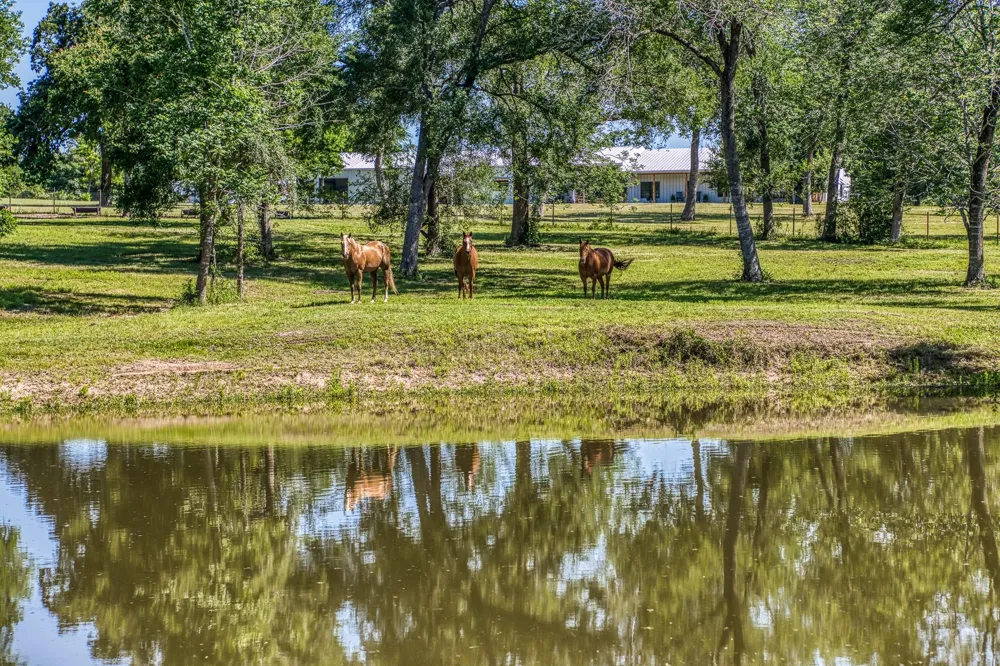 16597 Fm 912 Washington, TX 77880