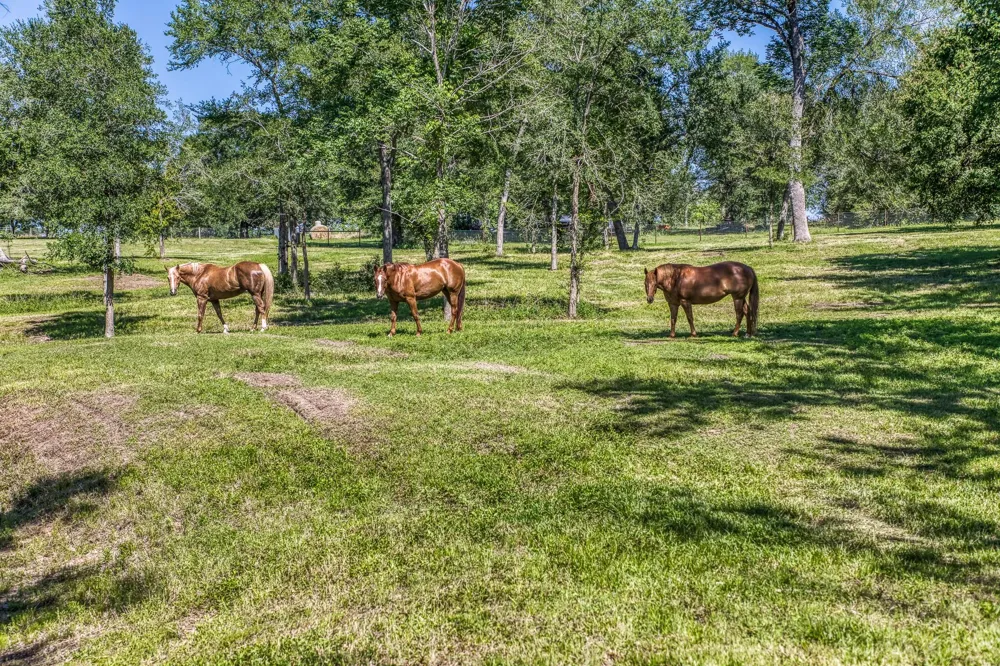 16597 Fm 912 Washington, TX 77880
