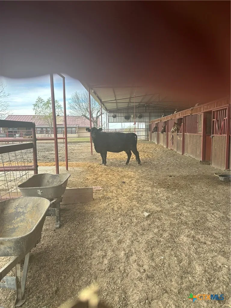4610 Pfeil Road Converse, TX 78109