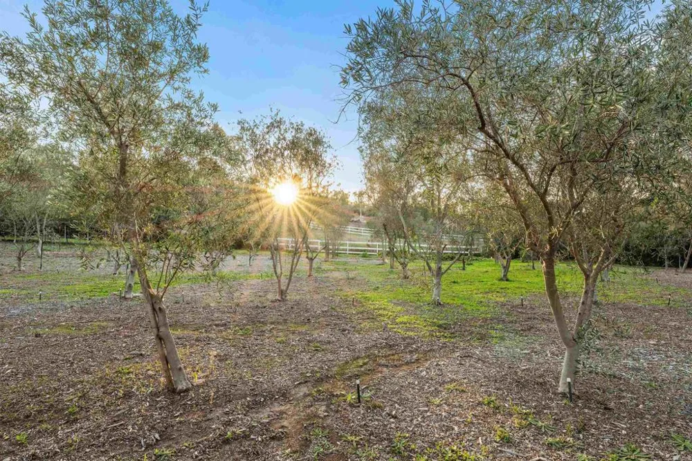 6870 La Valle Plateada Rancho Santa Fe, CA 92067