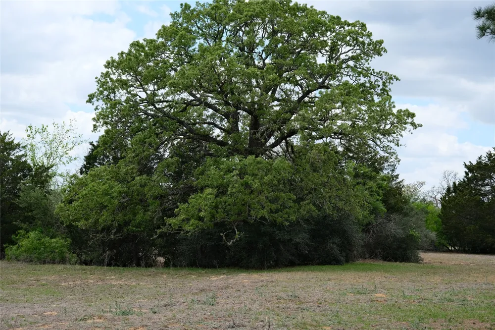 446 Herron Trail McDade, TX 78650