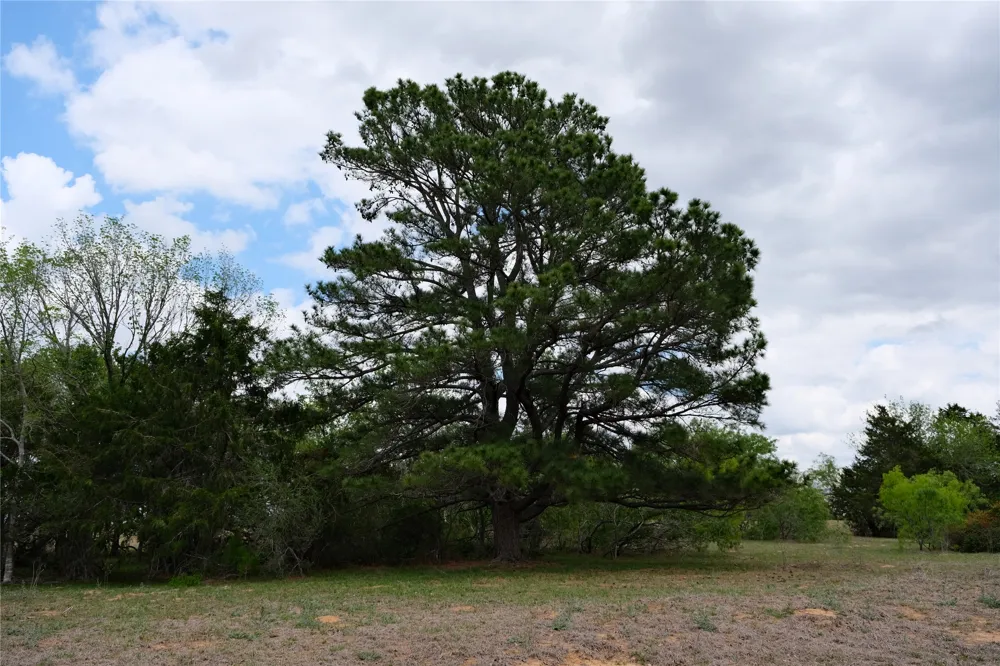 446 Herron Trail McDade, TX 78650