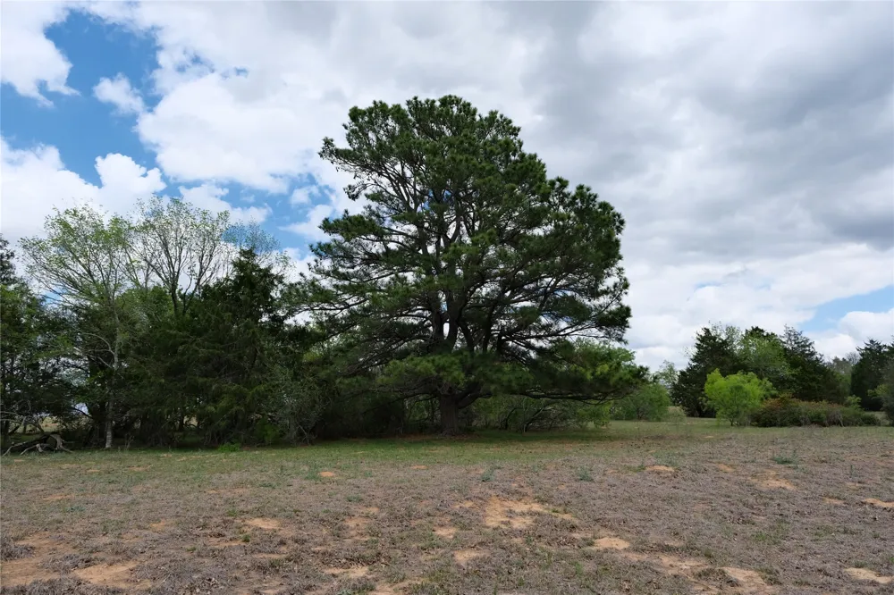 446 Herron Trail McDade, TX 78650