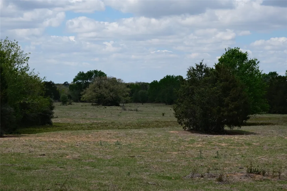 446 Herron Trail McDade, TX 78650