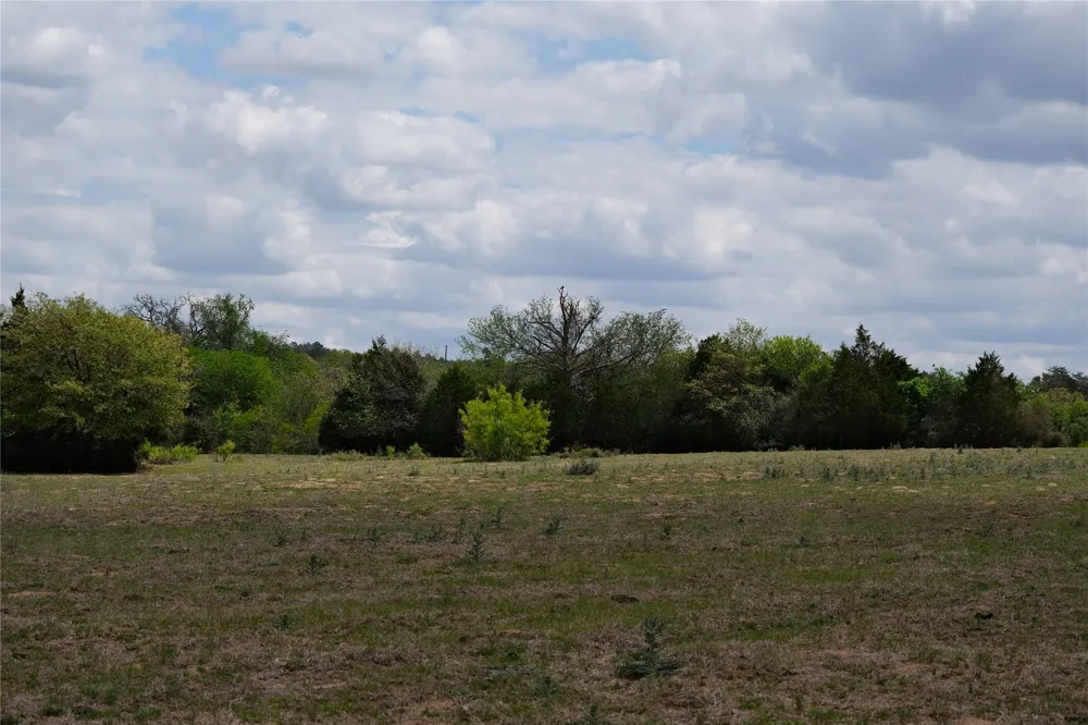 446 Herron Trail McDade, TX 78650